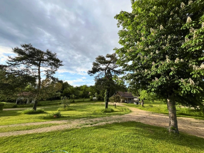 Photos 9 - Équestre - Propriété équestre de caractère de 2 hectares