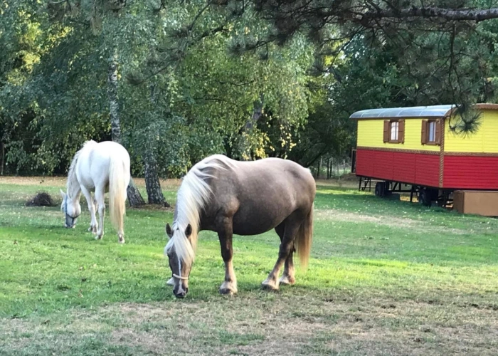 Photos 1 - Équestre - Petit coin de Paradis de 15 hectares dans le département de la Vendée