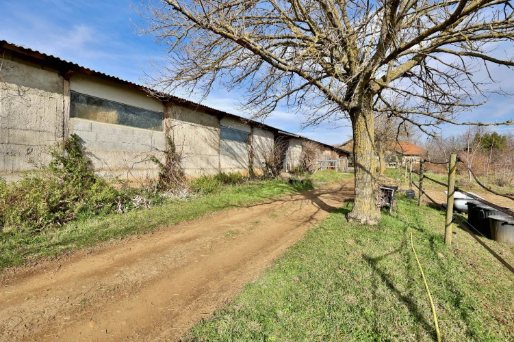 Photos 6 - Équestre - Charmante propriété équestre de 5 hectares au coeur de la Drôme des Collines