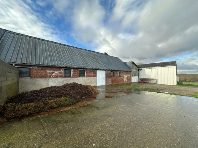 Photos 13 - Équestre - Propriété équestre fonctionnelle dans le Pas-de-Calais