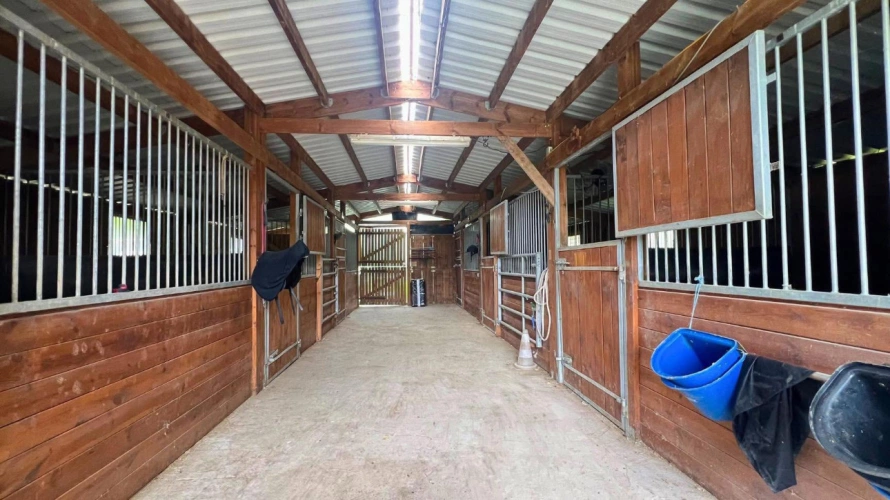 Photos 3 - Équestre - Propriété équestre de 6,3 hectares au coeur de l'Aude