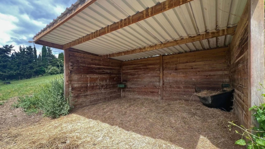 Photos 13 - Équestre - Propriété équestre de 6,3 hectares au coeur de l'Aude