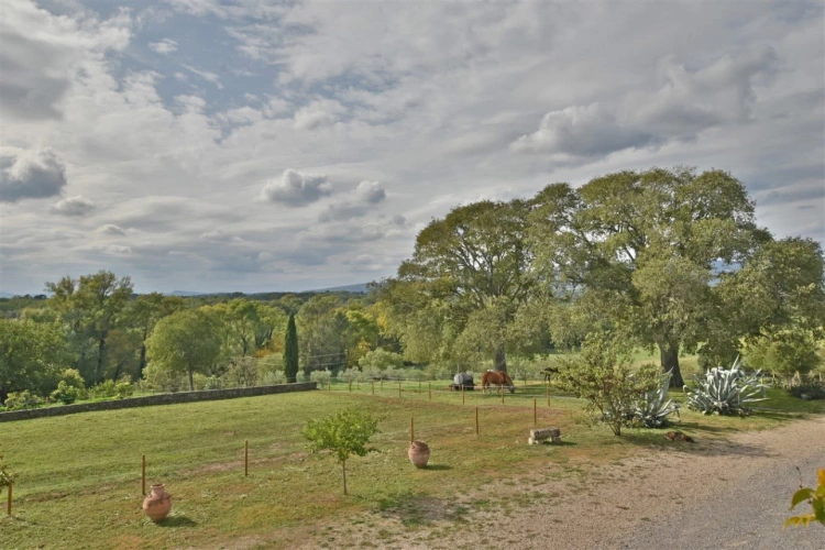 Photos 3 - Équestre - Charmante propriété équestre de 3 hectares (30)