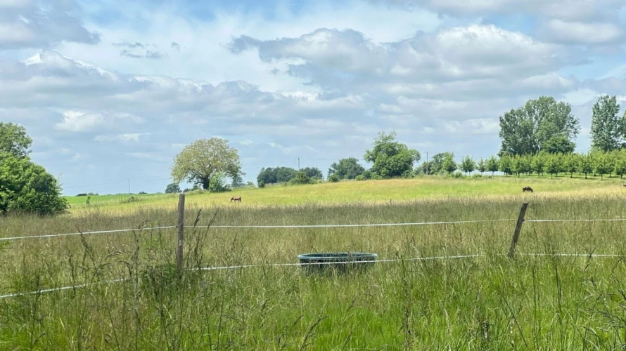 Photos 6 - Équestre - Propriété équestre en activité de 20 hectares