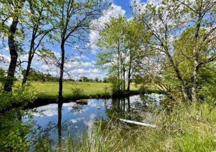 Photos 7 - Équestre - Propriété équestre en activité de 20 hectares
