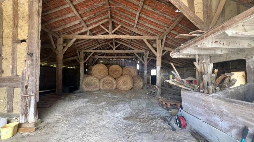 Photos 12 - Équestre - Propriété équestre en activité de 20 hectares