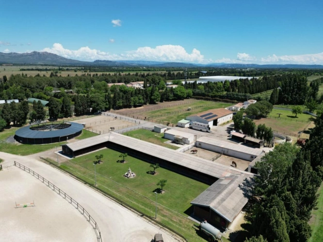 Photos 1 - Équestre - Propriété Équestre d'Excellence - 5 Hectares aux Portes d