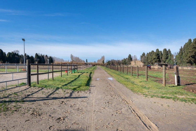 Photos 20 - Équestre - Propriété Équestre d'Excellence - 5 Hectares aux Portes d