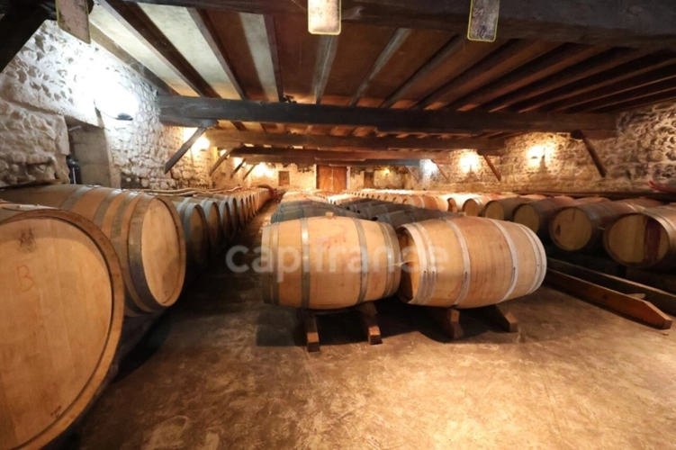 Photos 8 - Viticole - Exclusivité À VENDRE Domaine Viticole Cru Bourgeois Médoc Vue exceptionnelle