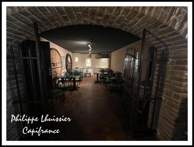 Photos 4 - Touristique - Dpt Côte d'Or (21), à vendre proche de BEAUNE propriete P34 de 1458 m²
