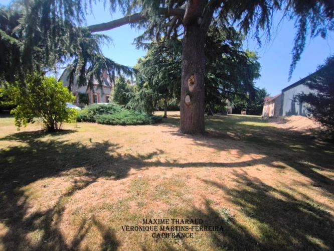 Photos 3 - Touristique - À vendre – Propriété agricole de charme à Thenioux (18)