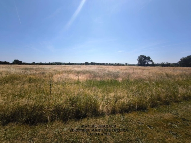 Photos 14 - Touristique - À vendre – Propriété agricole de charme à Thenioux (18)