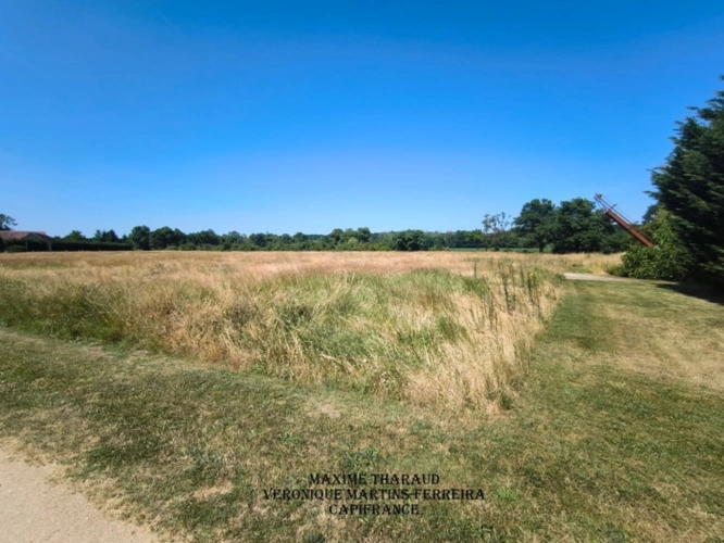 Photos 16 - Touristique - À vendre – Propriété agricole de charme à Thenioux (18)