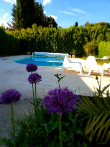 Photos 2 - Prestige - Maison