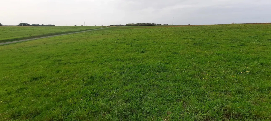 Photos 2 - Équestre - Propriété sur 1,7 ha à 15 mn de Fontenay Le Comte (85)