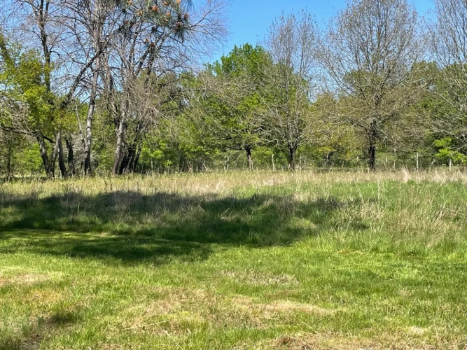 Photos 3 - Équestre - Propriété 4 ha idéale chevaux/gîtes 10 mn MONTPON MÉNESTÉROL (24)