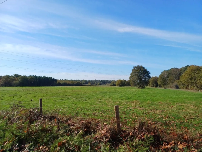 Photos 2 - Équestre - Propriété sur 31 ha idéale chevaux 10 mn MONTPON-MÉNESTÉROL (24)