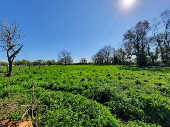 Photos 2 - Équestre - Propriété sur 1,7 ha idéale chevaux 15 mn de LUÇON (85)