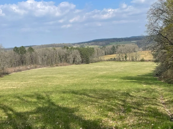 Photos 2 - Équestre - Propriété sur 41 ha idéale chevaux 20 mn de PERIGUEUX