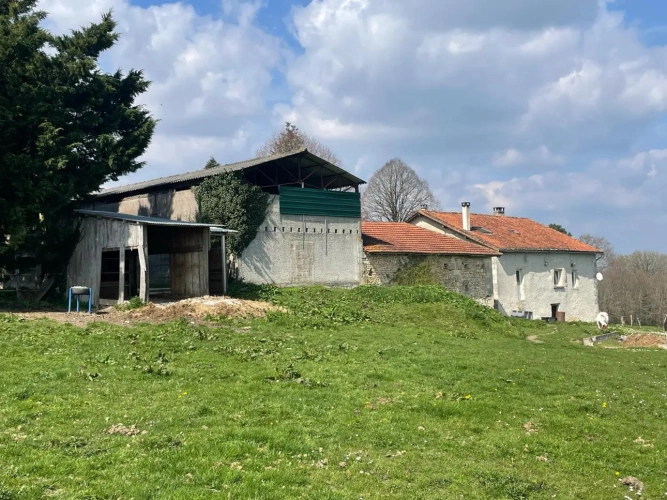 Photos 3 - Équestre - Propriété sur 41 ha idéale chevaux 20 mn de PERIGUEUX