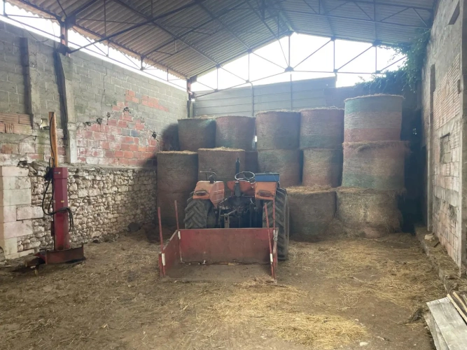 Photos 10 - Équestre - Propriété sur 41 ha idéale chevaux 20 mn de PERIGUEUX
