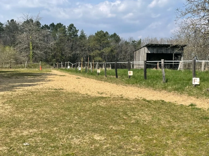 Photos 11 - Équestre - Propriété sur 41 ha idéale chevaux 20 mn de PERIGUEUX