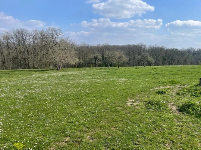 Photos 12 - Équestre - Propriété sur 41 ha idéale chevaux 20 mn de PERIGUEUX