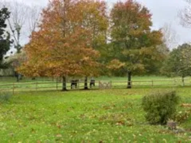 Photos 3 - Équestre - Propriété équestre sur 1,9 ha à 15 mn de LUÇON (85)