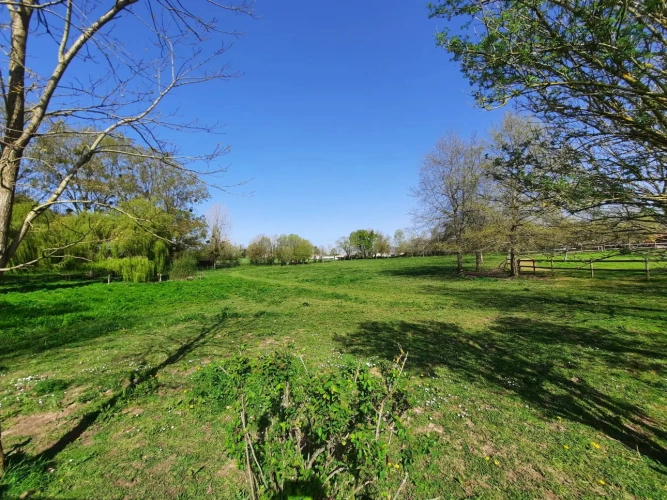Photos 6 - Équestre - Propriété équestre sur 1,9 ha à 15 mn de LUÇON (85)