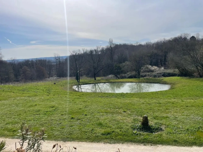 Photos 9 - Équestre - Propriété 20 ha idéale chevaux 15 mn STE FOY LA GRANDE (24)
