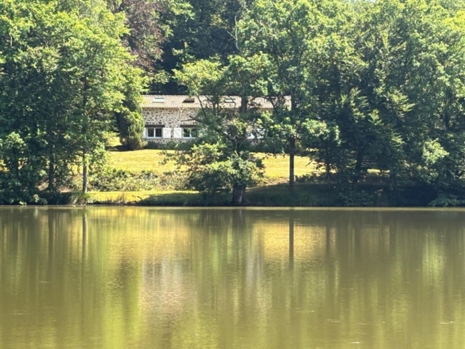 Photos 1 - Forestière - Un étang de plus de 2 hectares, une maison simple et vraie, au cœur de 10 hectares de nature préservée SAINT LEONARD DE NOBLAT (87)