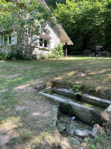 Photos 5 - Forestière - Un étang de plus de 2 hectares, une maison simple et vraie, au cœur de 10 hectares de nature préservée SAINT LEONARD DE NOBLAT (87)