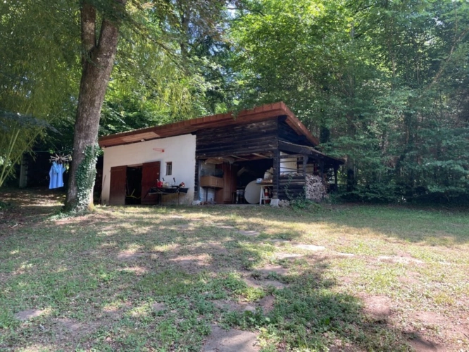 Photos 8 - Forestière - Un étang de plus de 2 hectares, une maison simple et vraie, au cœur de 10 hectares de nature préservée SAINT LEONARD DE NOBLAT (87)