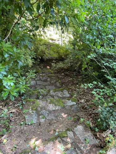 Photos 9 - Forestière - Un étang de plus de 2 hectares, une maison simple et vraie, au cœur de 10 hectares de nature préservée SAINT LEONARD DE NOBLAT (87)