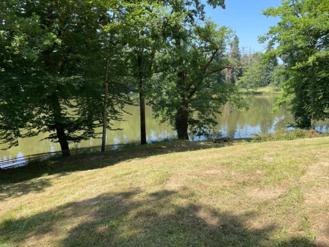 Photos 15 - Forestière - Un étang de plus de 2 hectares, une maison simple et vraie, au cœur de 10 hectares de nature préservée SAINT LEONARD DE NOBLAT (87)