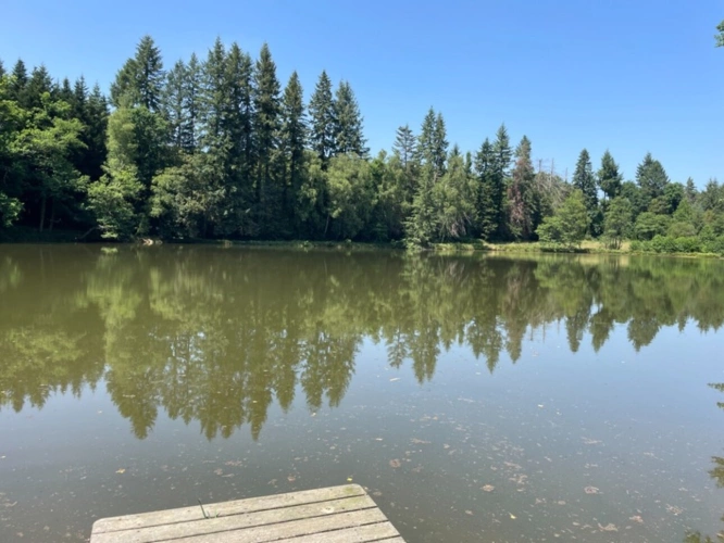 Photos 17 - Forestière - Un étang de plus de 2 hectares, une maison simple et vraie, au cœur de 10 hectares de nature préservée SAINT LEONARD DE NOBLAT (87)