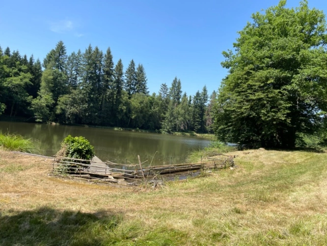Photos 23 - Forestière - Un étang de plus de 2 hectares, une maison simple et vraie, au cœur de 10 hectares de nature préservée SAINT LEONARD DE NOBLAT (87)