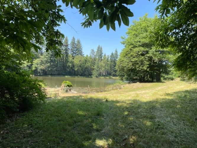 Photos 25 - Forestière - Un étang de plus de 2 hectares, une maison simple et vraie, au cœur de 10 hectares de nature préservée SAINT LEONARD DE NOBLAT (87)