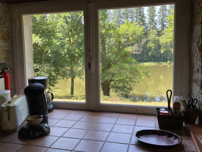 Photos 31 - Forestière - Un étang de plus de 2 hectares, une maison simple et vraie, au cœur de 10 hectares de nature préservée SAINT LEONARD DE NOBLAT (87)