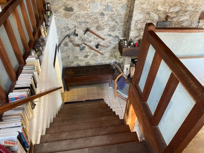 Photos 34 - Forestière - Un étang de plus de 2 hectares, une maison simple et vraie, au cœur de 10 hectares de nature préservée SAINT LEONARD DE NOBLAT (87)