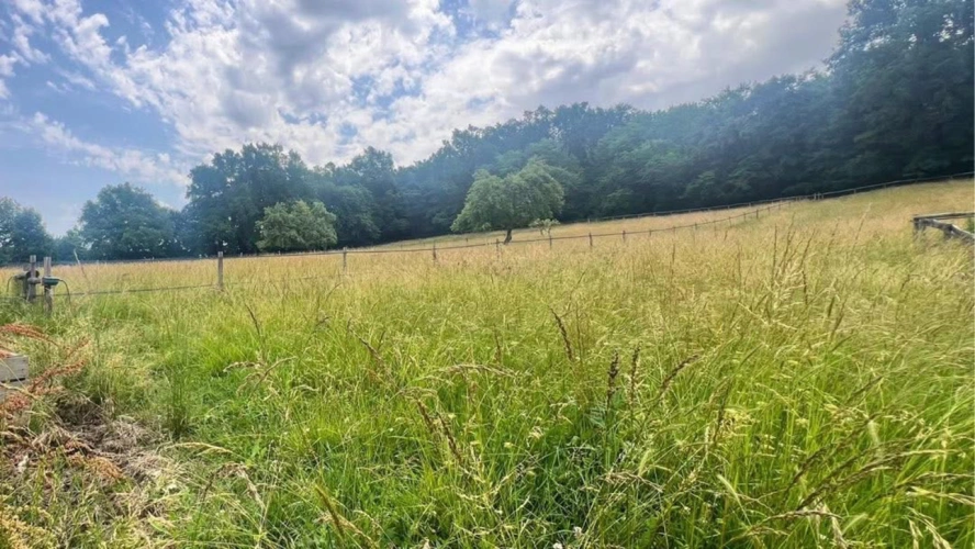 Photos 4 - Équestre - Charmante propriété équestre de 2,6 hectares (82)