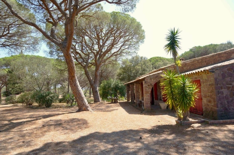 Photos 3 - Équestre - Charmante propriété équestre de 4 hectares (83)