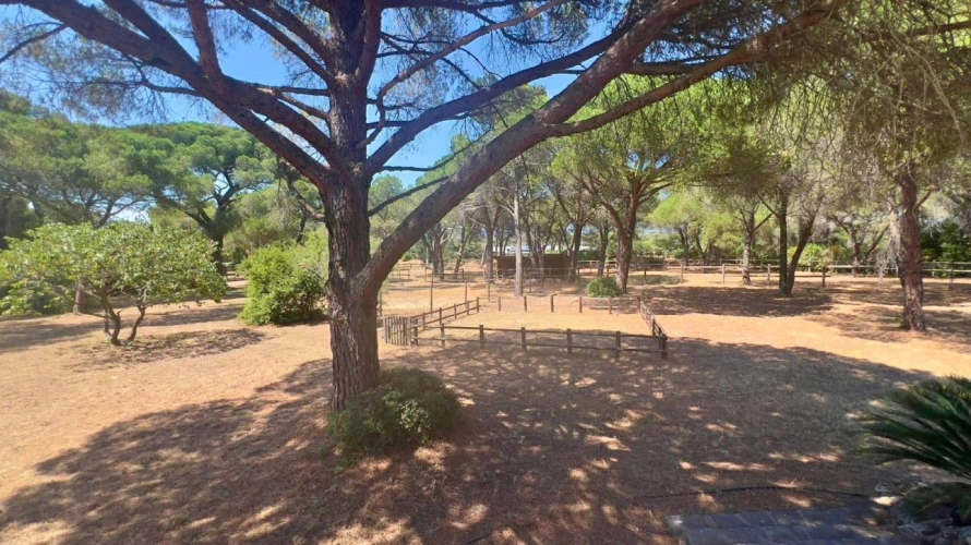 Photos 17 - Équestre - Charmante propriété équestre de 4 hectares (83)