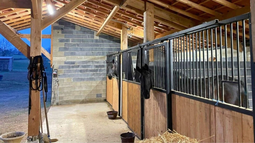 Photos 5 - Équestre - Propriété équestre clé en main de 2,5 hectares (65)