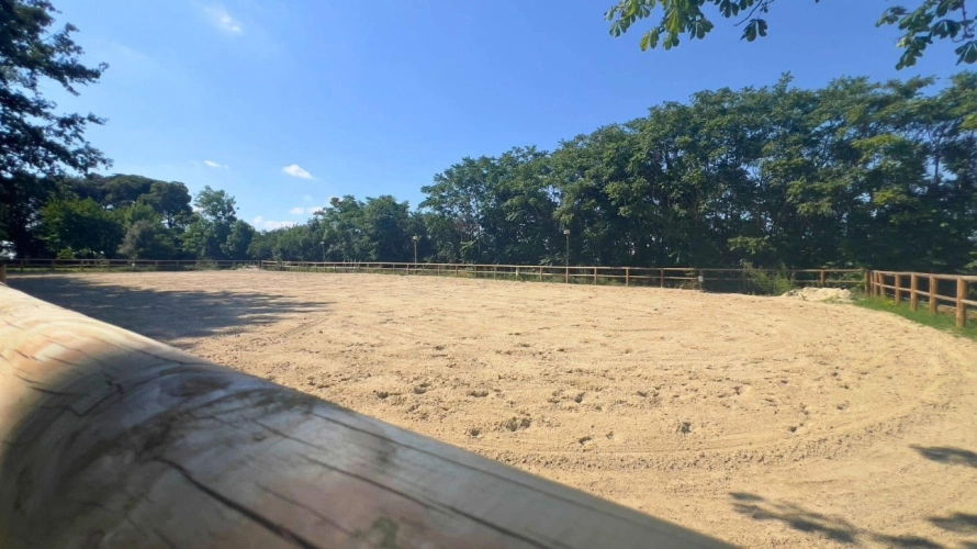 Photos 6 - Équestre - Domaine d'exception de 4 hectares (11)