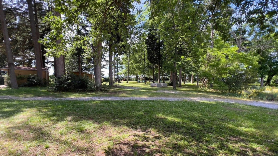 Photos 7 - Équestre - Domaine d'exception de 4 hectares (11)
