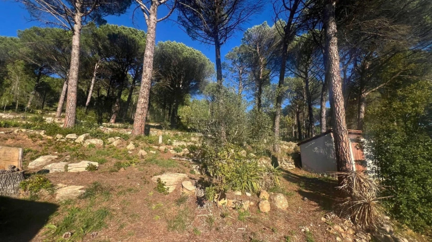 Photos 5 - Équestre - Propriété équestre de 3 hectares en Provence Verte (83)
