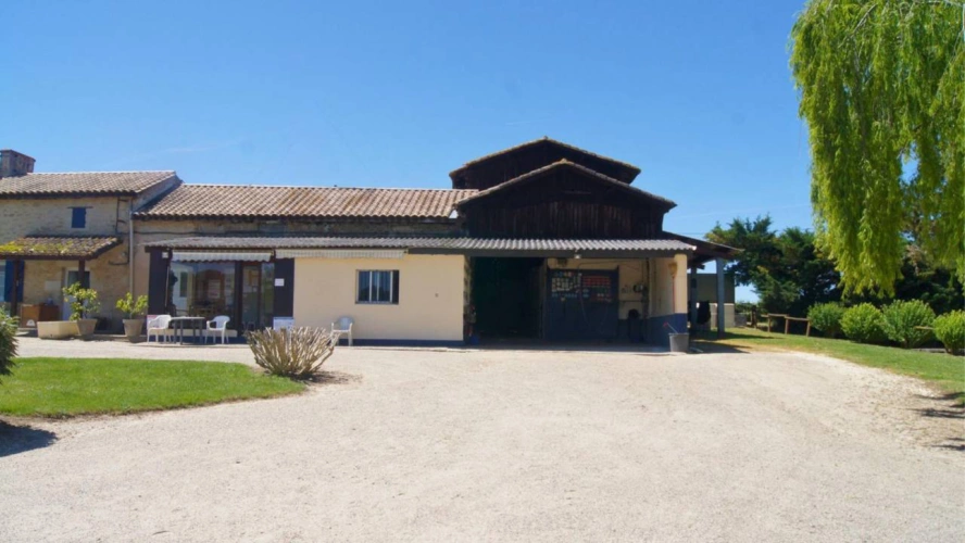 Photos 4 - Agricole - Propriété équestre de 12 hectares (33)