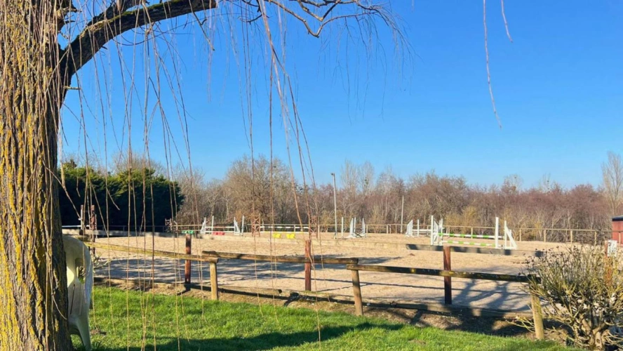 Photos 10 - Agricole - Propriété équestre de 12 hectares (33)