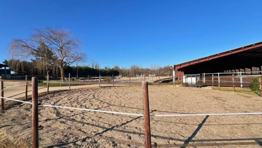 Photos 11 - Agricole - Propriété équestre de 12 hectares (33)